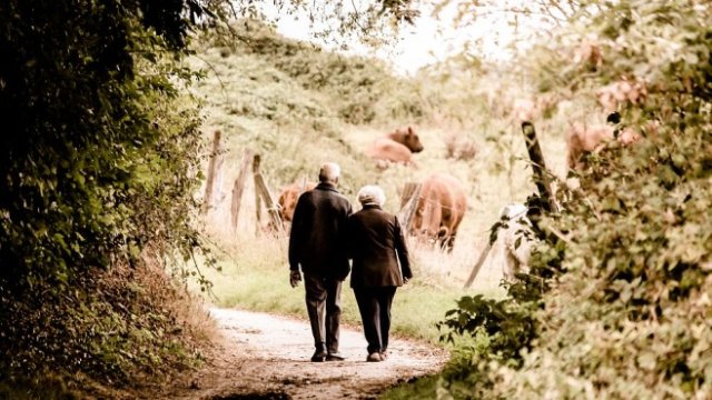 <p>
	<em>Снимка: pixabay.com</em></p>
