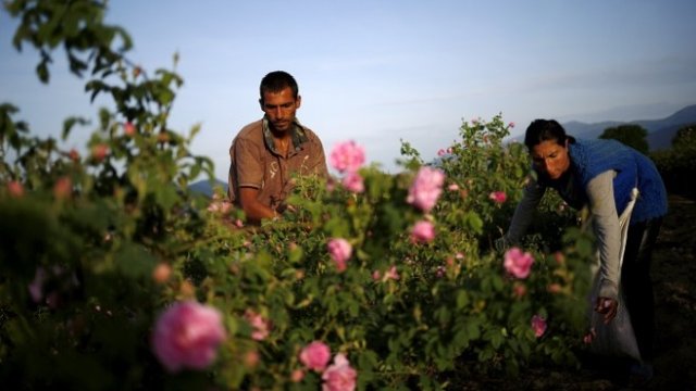 <p>
	<em>Снимка: Архив Ройтерс</em></p>
