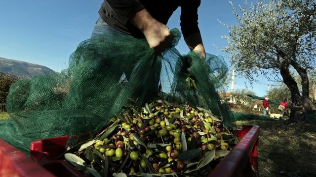 <p>
	<em>Снимка: архив Ройтерс</em></p>
