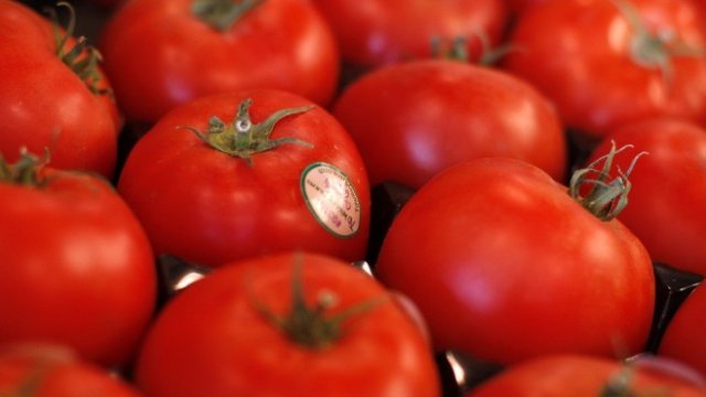 <p>
	Снимка: <em>архив Ройтерс</em></p>
