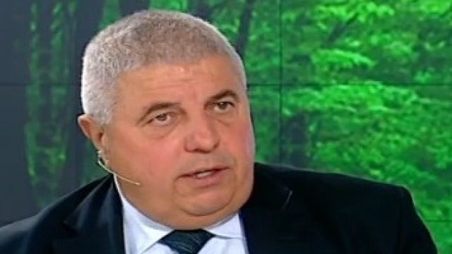 Необходимостта от мораториум за износа на дървесина ще отпадне, според експерт