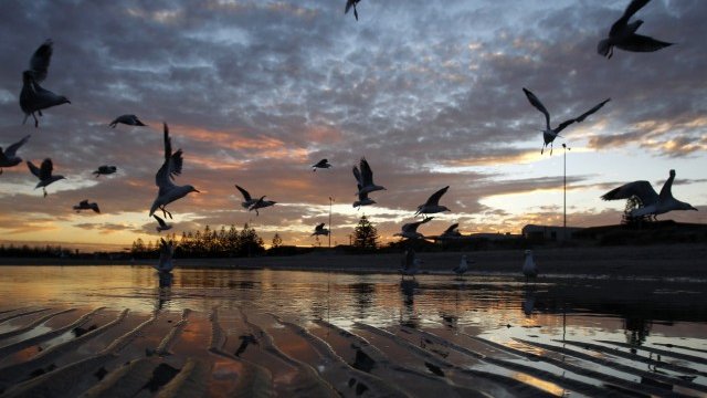 <p>
	Залез над крайбрежния район Алтона в Мелбърн.<em> Снимка: Ройтерс</em></p>
