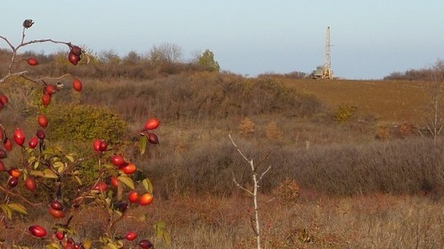 <p>
	Добивът на глауконит може да започне след 2 години.<em> Снимка: д-р Никола Вардев</em></p>
