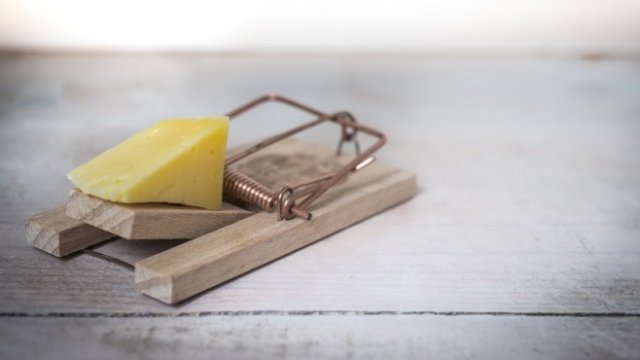 <p>
	<em>Снимка: Unsplash</em></p>
