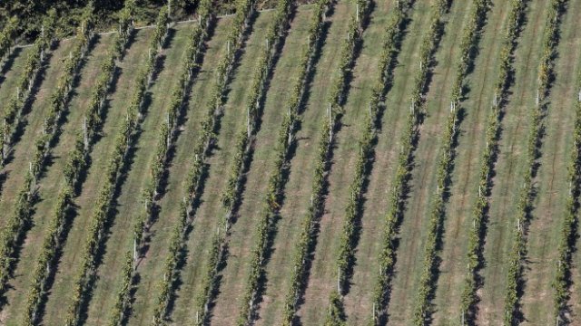 <p>
	<em>Снимка: Ройтерс</em></p>
