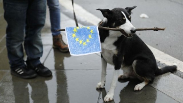 <p>
	<em>Снимка:&nbsp;Luke MacGregor/Bloomberg</em></p>
