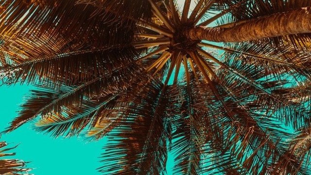 <p>
	<em>Снимка: Pixabay</em></p>
