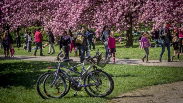 <p>
	<em>Снимка: архив БТА</em></p>
