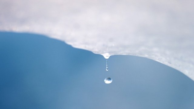 <p>
	Снимка: <em>Архив Ройтерс</em></p>
