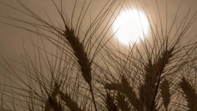 <p>
	<em>Снимка: Bloomberg LP</em></p>
