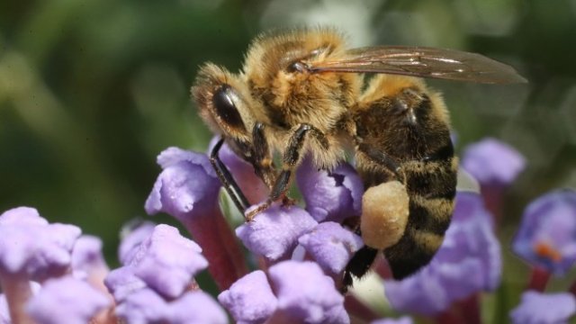 <p>
	<em>Снимка: Bloomberg L.P.</em></p>
