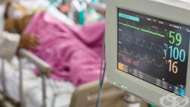 <p>
	<em>Източник: ВП Брандс Интернешънъл</em></p>
