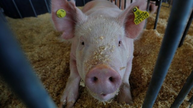 <p>
	<em>Снимка: Ройтерс</em></p>
