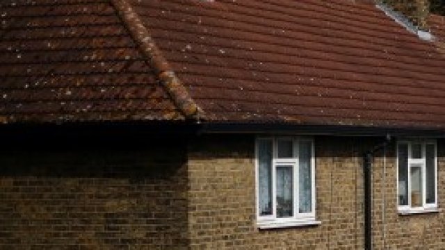 <p>
	<em>Снимка: Архив Ройтерс</em></p>
