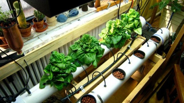 Вертикални ферми изникват по целия свят