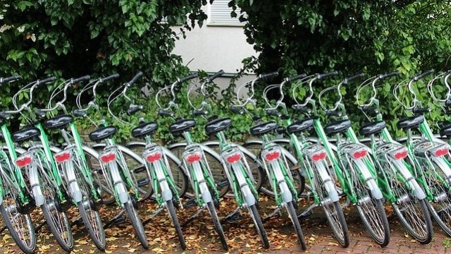 <p>
	<em>Снимка: Pixabay</em></p>
