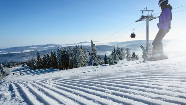 Снимка: Pixabay