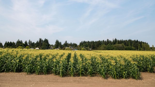 Снимка: James MacDonald/Bloomberg