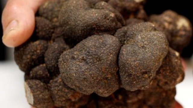 <p>
	<em>Снимка: Архив Ройтерс</em></p>
