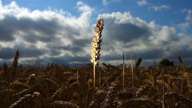 <p>
	<em>Снимка: Bloomberg L.P.</em></p>
