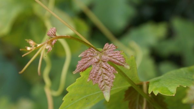 <p>
	<em>Снимка: Pixabay</em></p>
