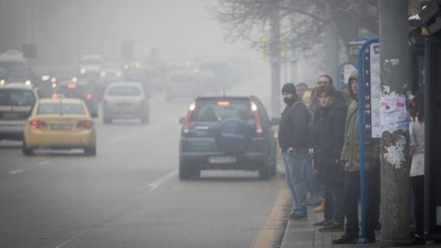 <p>
	<em>Снимка: Димитър Кьосемарлиев, Investor Media Group</em></p>
