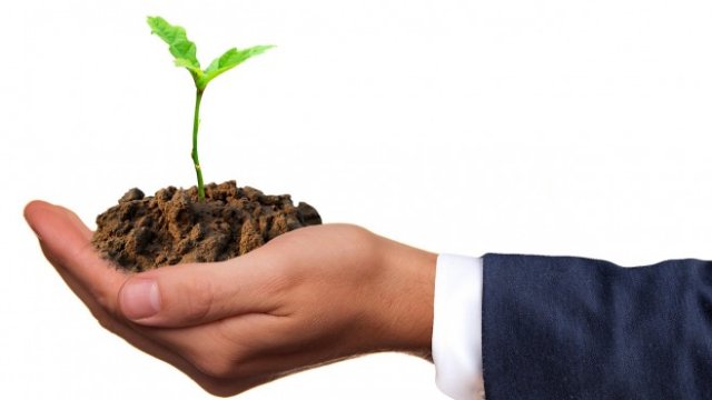 <p>
	<em>Снимка: Pixabay</em></p>
