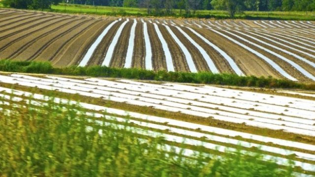 <p>
	<em>Снимка: Pixabay</em></p>
