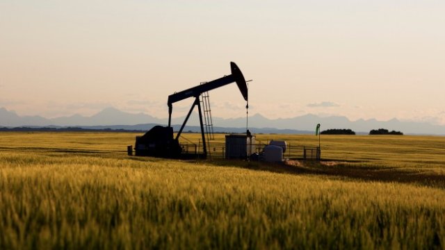 <p>
	<em>Снимка: Ройтерс</em></p>
