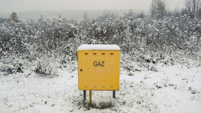 Снимка: Damian Lemański / Bloomberg