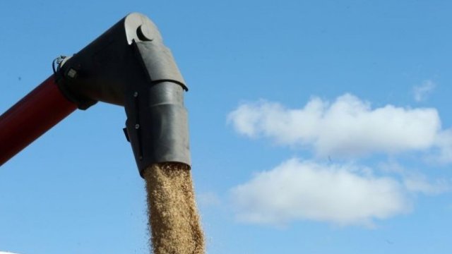 Зърнопроизводител: Ако износът на пшеница спре, държавата рискува хаос на пазара