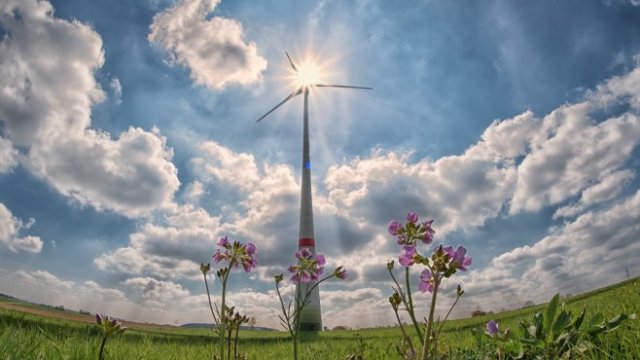 <p>
	<em>Снимка: Pixabay</em></p>
