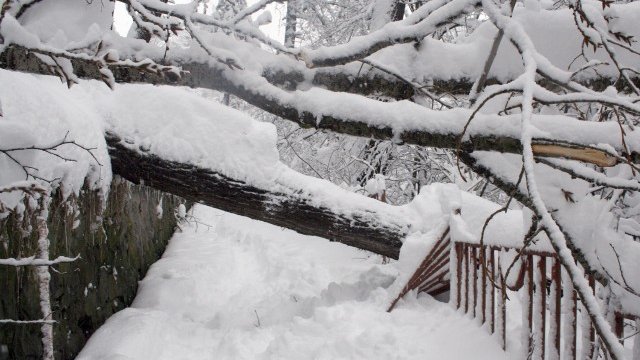 <p>
	Снимка: БТА</p>
