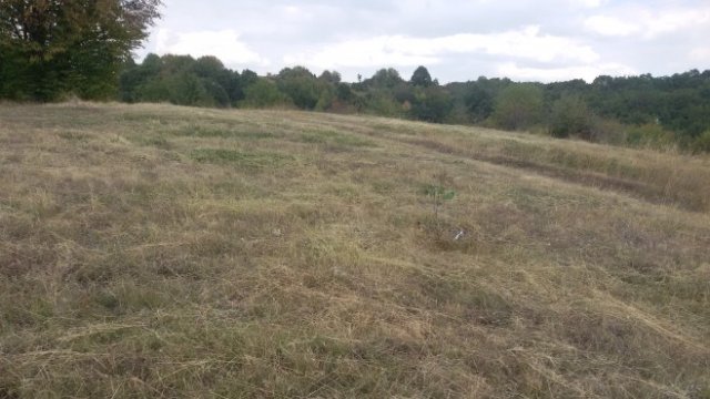 „Елана Агрокредит“ с 15% спад на финансираните сделки през май