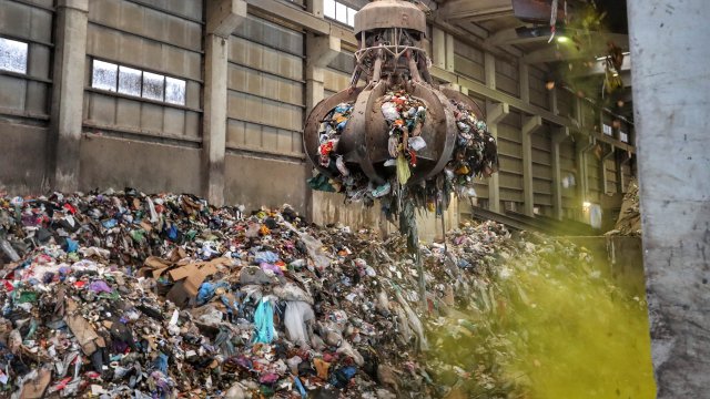 Снимка: Димитър Кьосемарлиев, Investor Media Group