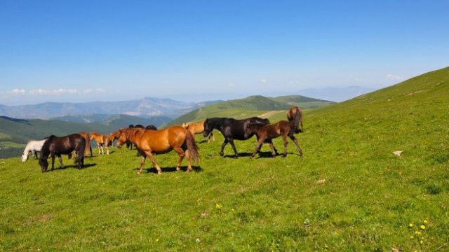 <p>
	<em>Снимка: Pixabay</em></p>
