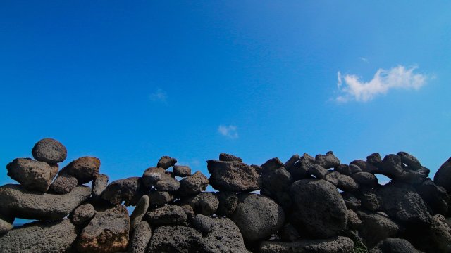 Снимка: Pixabay