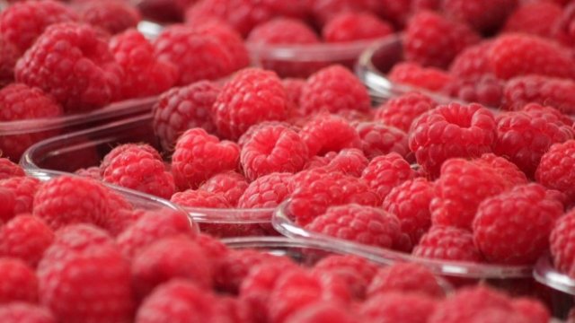 <p>
	<em>Снимка: Pixabay</em></p>
