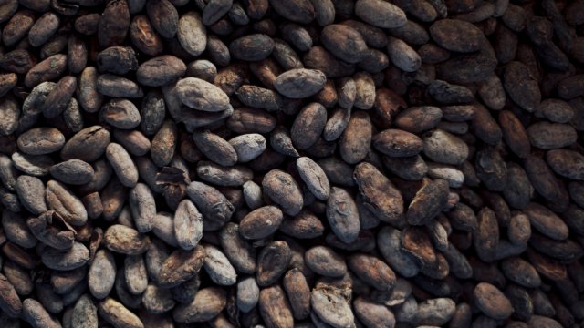 Снимка: Bloomberg L.P.