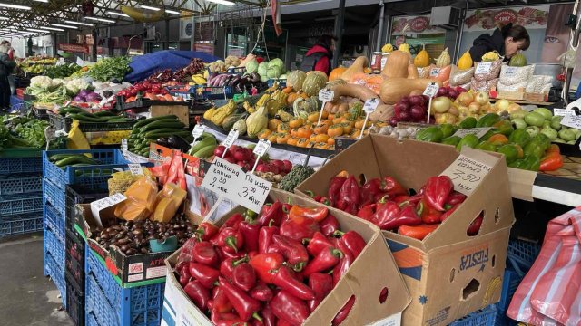 Снимка: БГНЕС