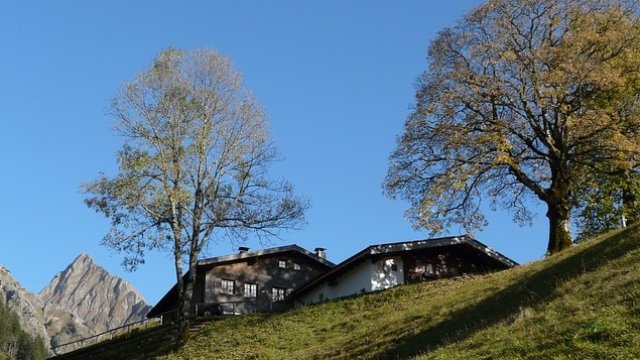 <p>
	<em>Снимка: Pixabay</em></p>
