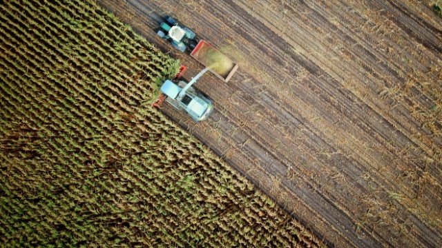 <div class="_3bJ2H CHExY">
	<div class="_1l8RX _1ByhS">
		<em><span>Снимка: <a href="https://unsplash.com/@no_one_cares?utm_source=unsplash&amp;utm_medium=referral&amp;utm_content=creditCopyText">no one cares</a> on <a href="https://unsplash.com/s/photos/farmer?utm_source=unsplash&amp;utm_medium=referral&amp;utm_content=creditCopyText">Unsplash</