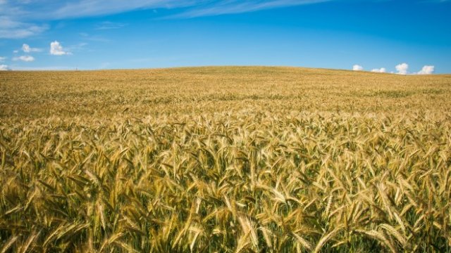 <p>
	<em>Снимка:&nbsp;Pixabay</em></p>
