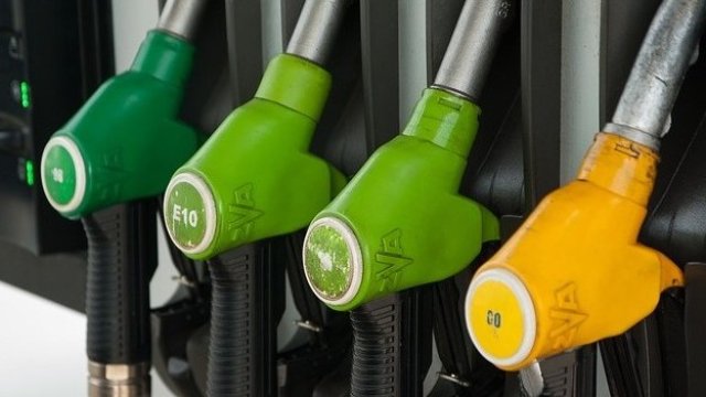 <p>
	<em>Снимка: Димитър Кьосермарлиев, Investor Media Group</em></p>
