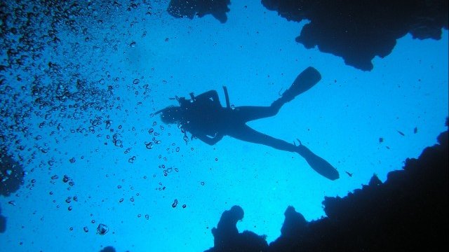 <p>
	<em>Снимка: freeimages.com</em></p>
