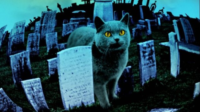 <p>
	<em>Снимка: Pet Sematary&nbsp;</em><em>Facebook page</em></p>
