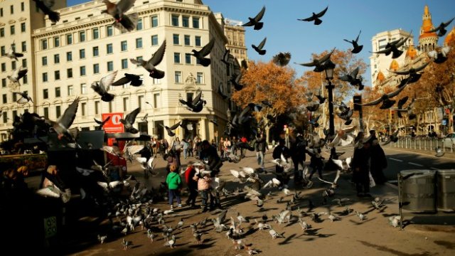 <p>
	<em>Снимка: Архив Ройтерс</em></p>
