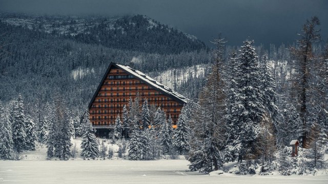 Снимка: Pixabay