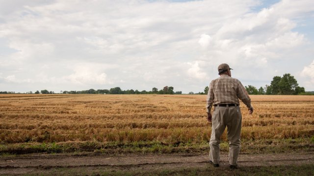 Снимка: Bloomberg L.P.