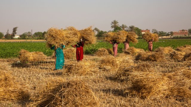 Снимка: Bloomberg